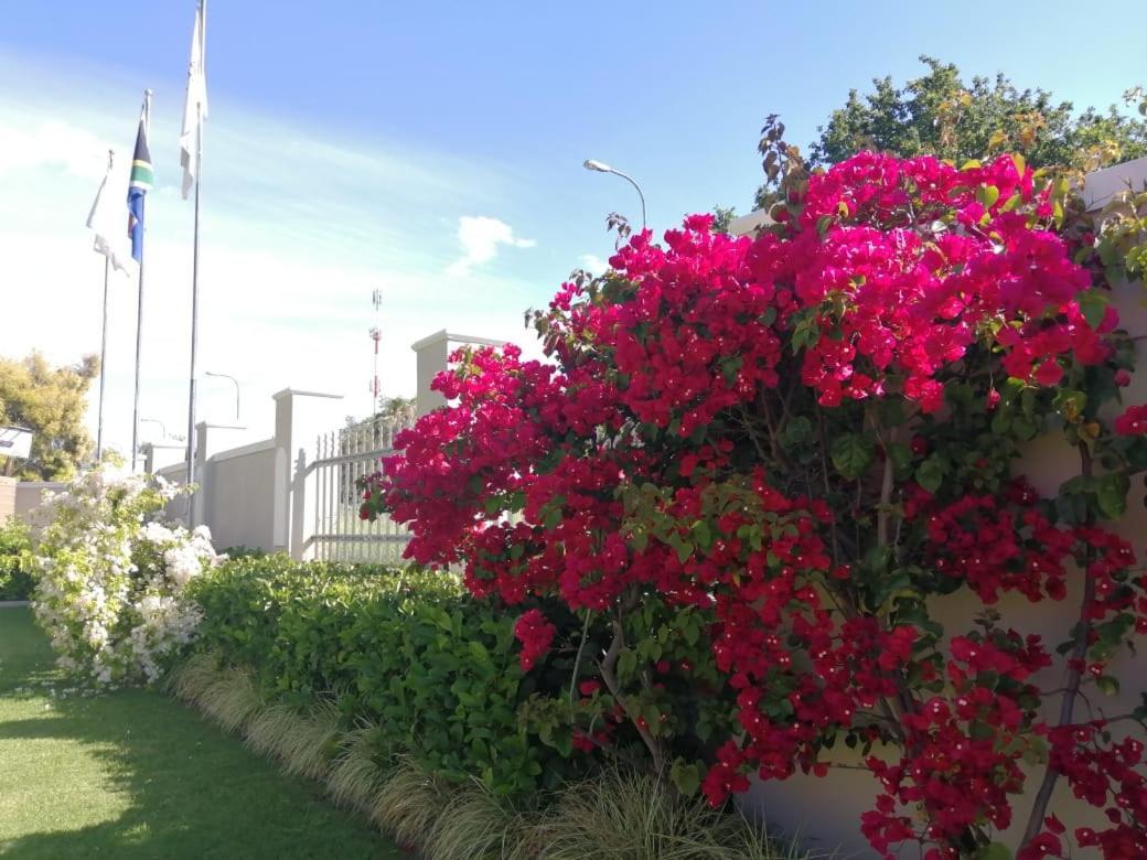 Monte Rosa Guesthouse Rawsonville Ngoại thất bức ảnh
