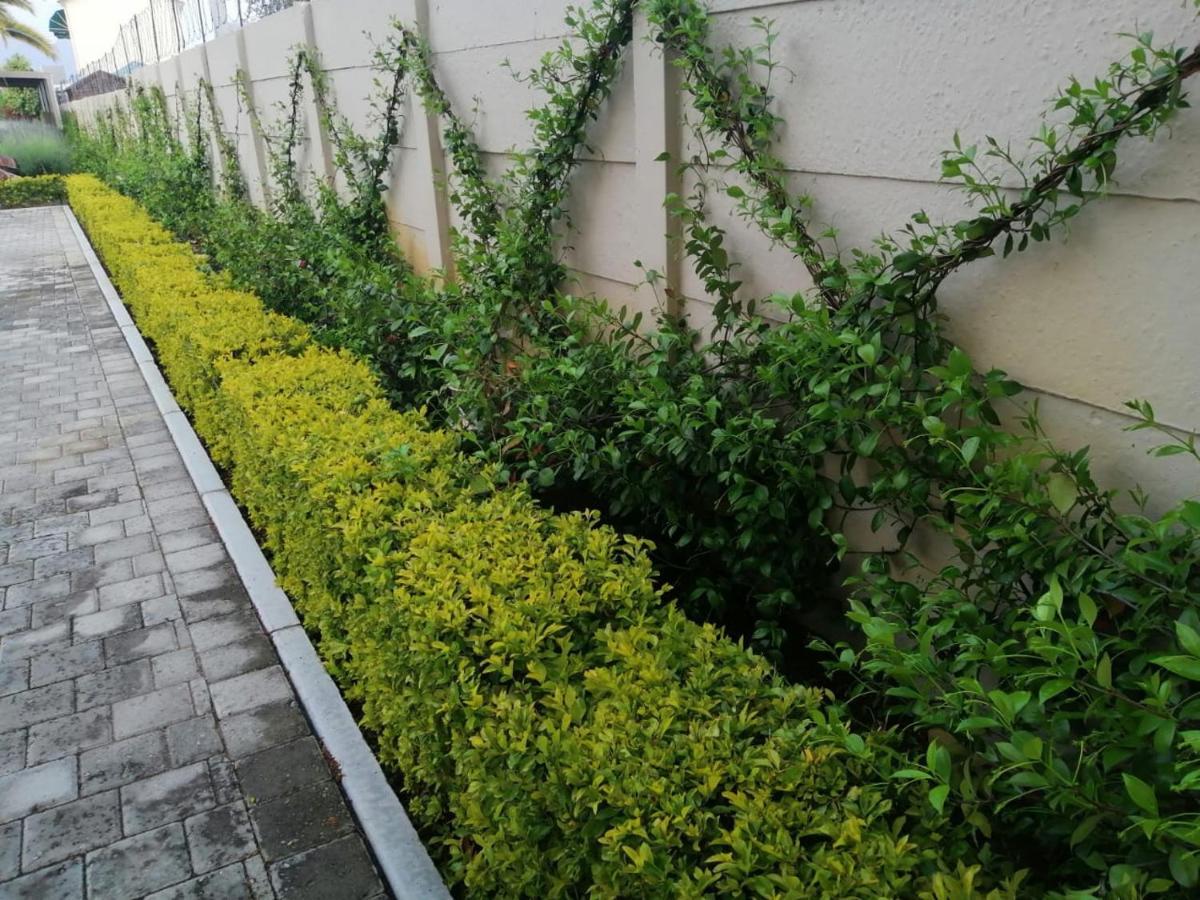 Monte Rosa Guesthouse Rawsonville Ngoại thất bức ảnh