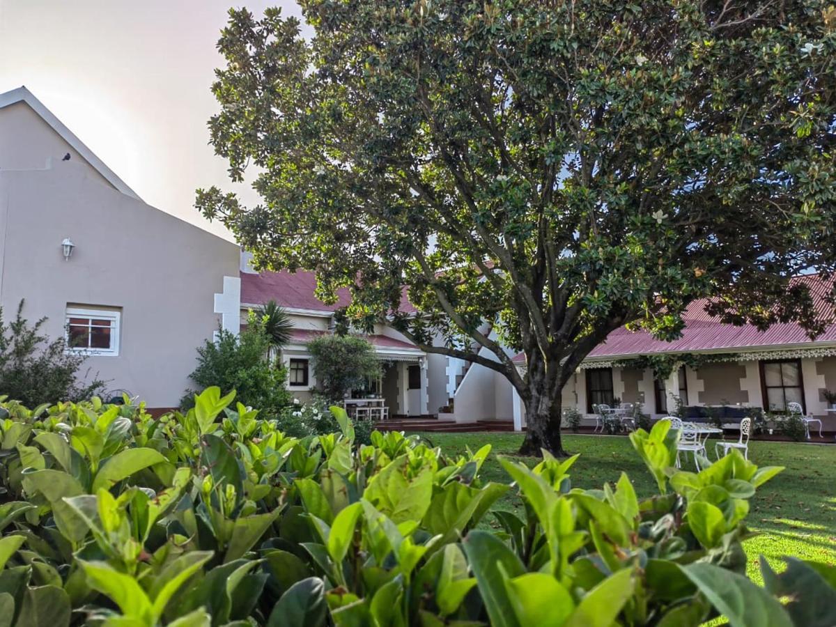 Monte Rosa Guesthouse Rawsonville Ngoại thất bức ảnh
